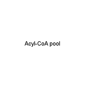 Acyl-CoA pool